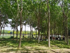 -大兴滨河森林公园