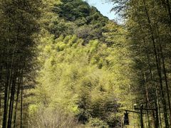 -黄公望隐居地