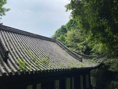 -韬光茶庵