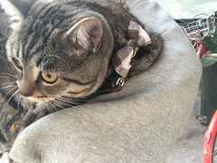 -佳雯宠物医院(金华南路分院)