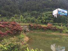 -梦幻奥陶纪景区