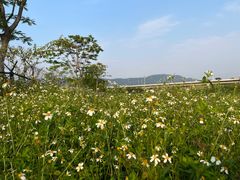 -光明小镇欢乐田园