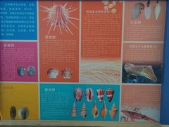 -上海海洋大学鱼文化博物馆(军工路校区)