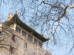 -武汉大学-樱园