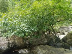 -山沟沟景区