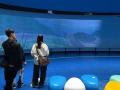 -广东惠东海龟国家级自然保护区