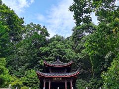 -云栖竹径