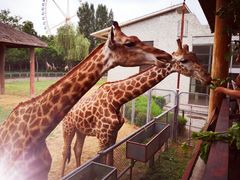 -石家庄市动物园