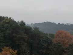 -白公馆