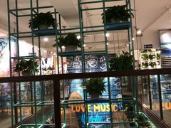 -浩源美食·椰子鸡