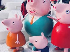 -紫竹院公园冰场