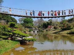 -东莞植物园