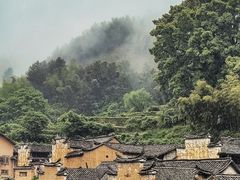 -杨家堂村