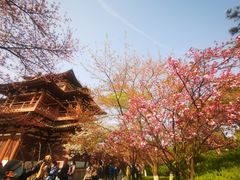 -西安青龙寺遗址景区