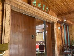 -四明山国家森林公园