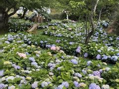 -名花谷生态庄园