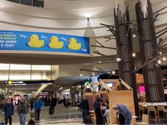 -华盛顿杜勒斯国际机场