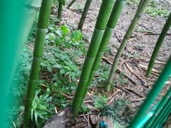 -南山风景名胜区