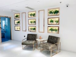 -MIVI野生眉纹绣纹眉