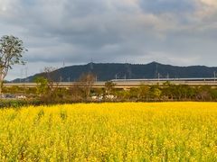 -光明小镇欢乐田园