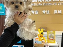 -美联众合动物医院·24h京西诊疗中心