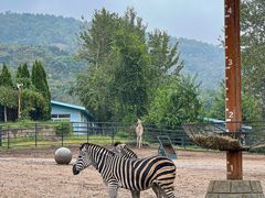 -大连森林动物园