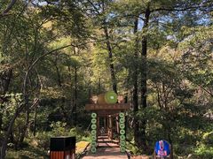 -大岭沟猕猴桃谷风景区