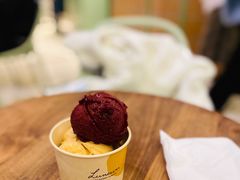 焦糖海盐饼干-LUNEURS月乐诗·法式冰淇淋(环贸店)