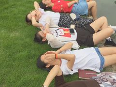 -乌村