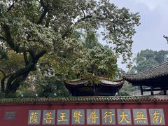 -峨眉山报国寺