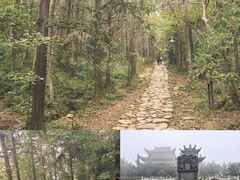 -冶父山国家森林公园