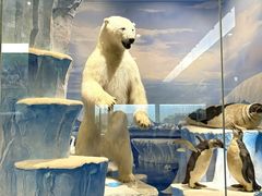 -国家自然博物馆