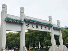 -武汉大学-樱园