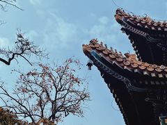 -雍和宫