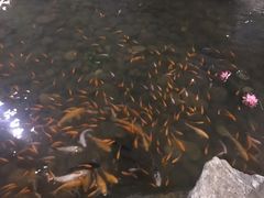 -森谷美食公园(杨行店)