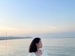 -汕尾风车岛