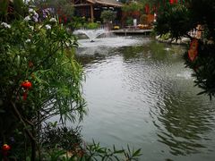 -大门水乡·顺德菜