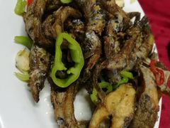 椒盐多春鱼-蛇口康乐快餐鱼仔档(翠苑小区店)