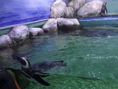 -重庆欢乐海底世界