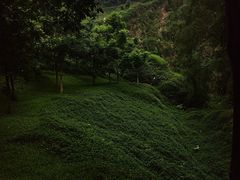 -火炉山森林公园
