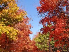 -长春市南湖公园