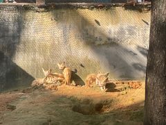 -福州动物园