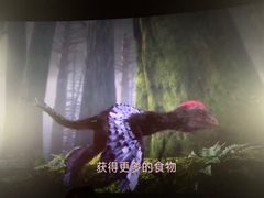 -中国科学技术馆影院