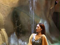 -杭州开元森泊度假乐园