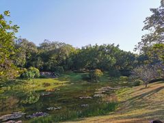-云溪植物园