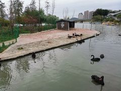 -琅岐红光湖公园