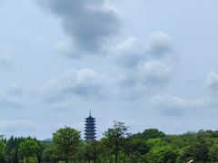 -宜兴龙背山森林公园