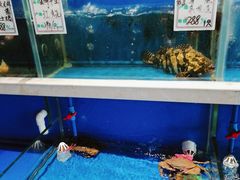 -姜君·千岛湖鱼头馆(浦东大道店)