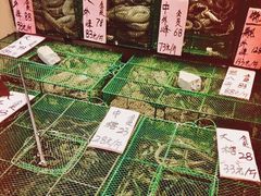 -荔城生鲜盛宴(番禺旗舰店)