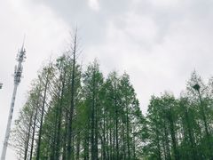 -杭州半山国家森林公园